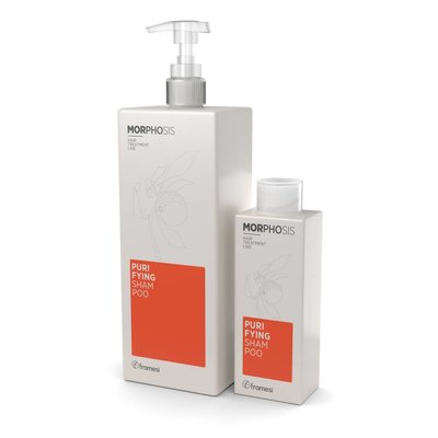 Morphosis Purifying Shampoo 250 ml