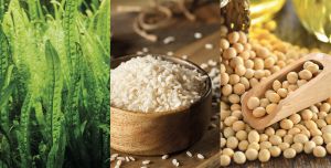 Sens.ùs ColorGrace 4.18 100ml